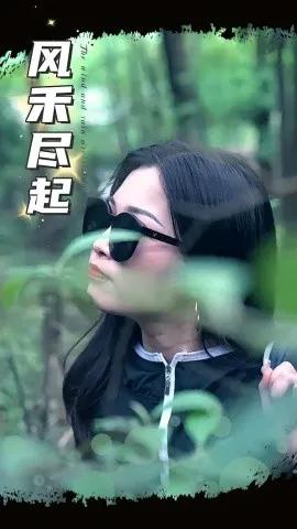 风禾尽起