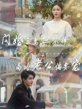 闪婚孕妻逃不掉，高冷老公偏要宠