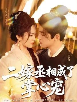二嫁丞相成了掌心宠