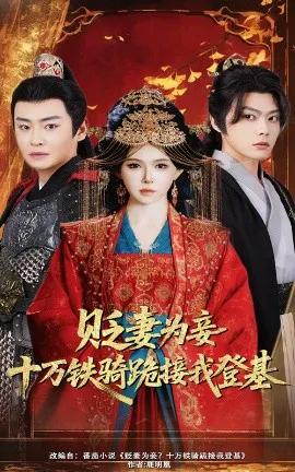 贬妻为妾?十万铁骑跪接我登基