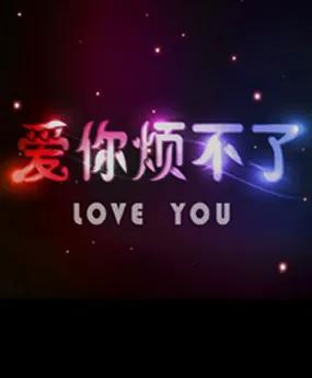 爱你烦不了
