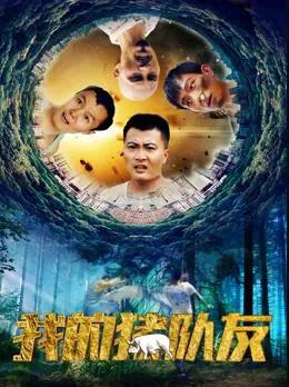 我的猪队友