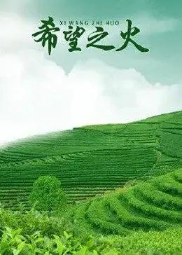 西游超级粉