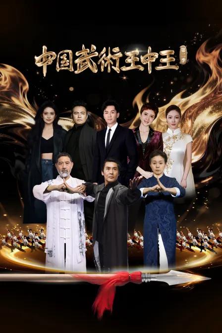 中国武术王中王第二季