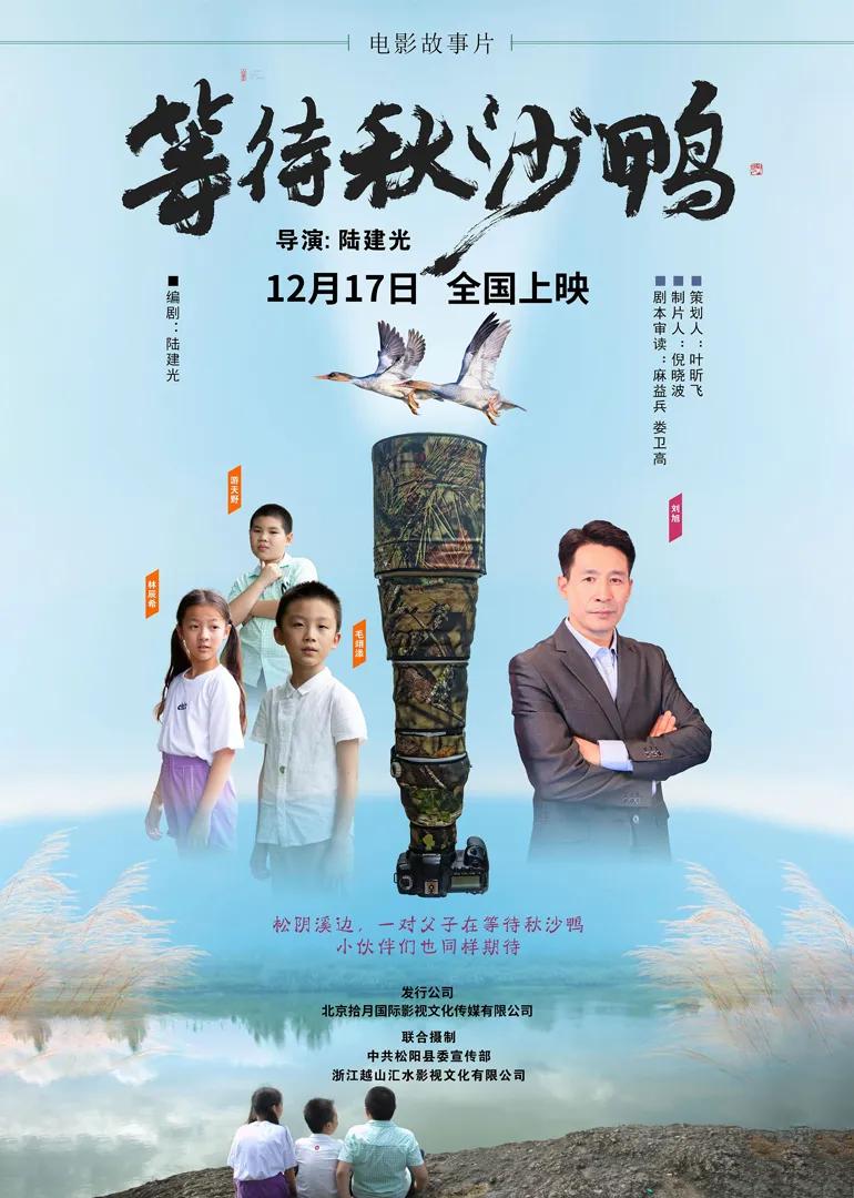 等待秋沙鸭