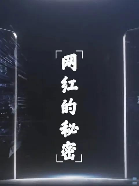 网红的秘密