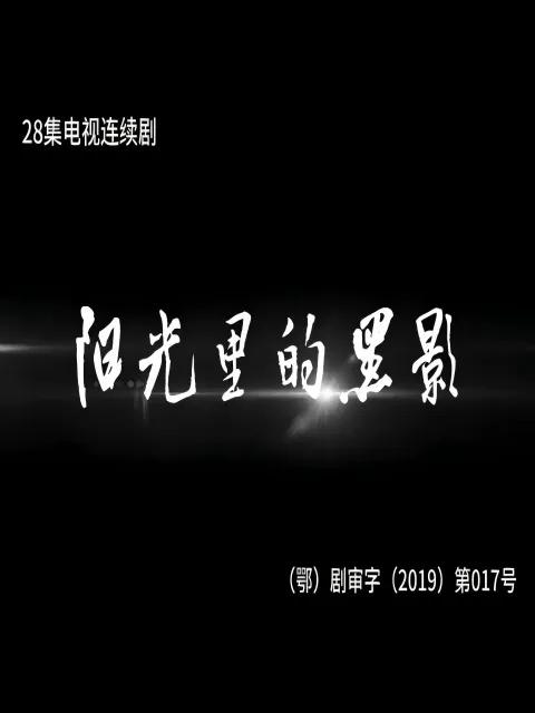 阳光里的黑影