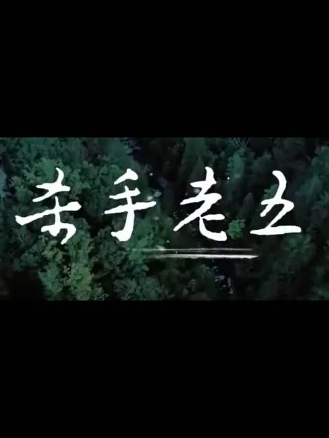 杀手老五