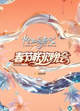 2025海南春晚