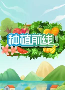 种植前线2024
