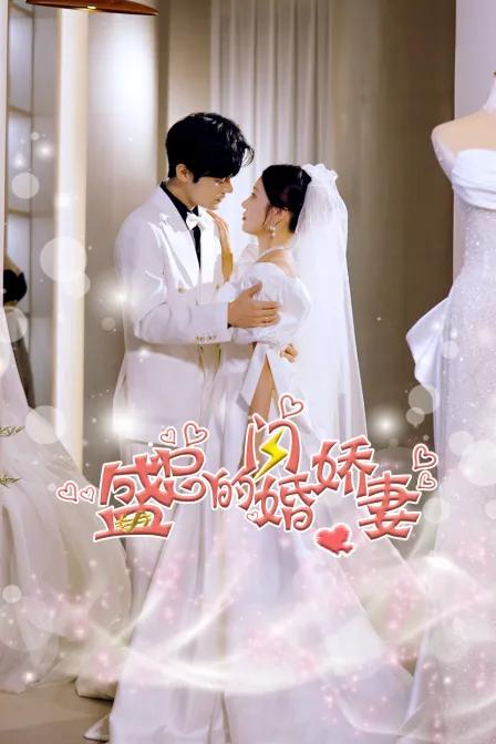 盛总的闪婚娇妻