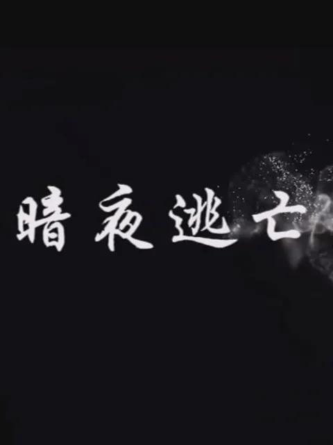 暗夜逃亡