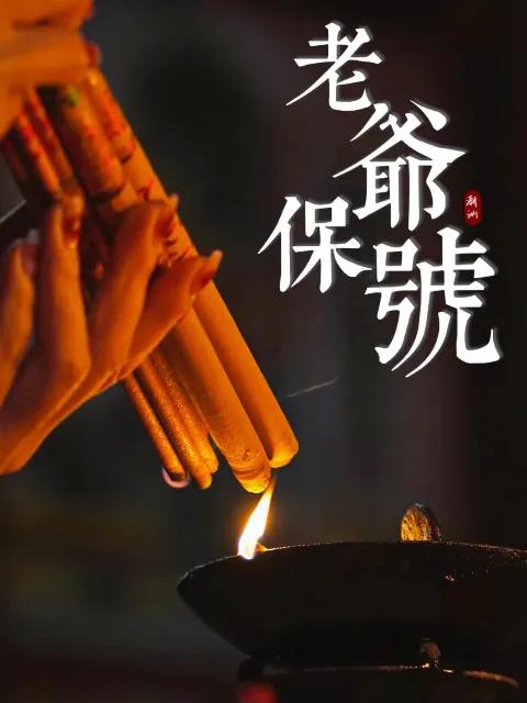 老爷保号