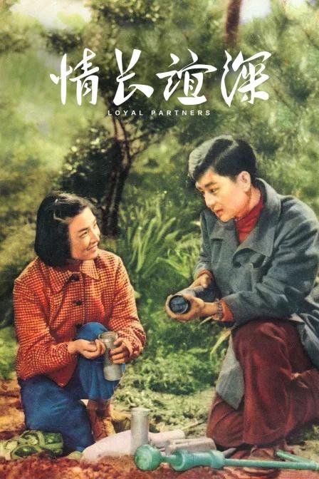 情长谊深