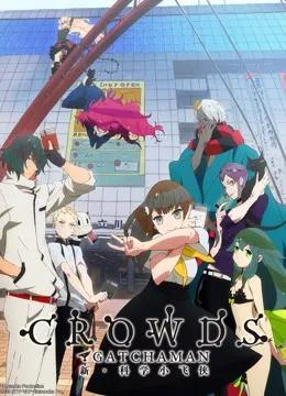科学小飞侠 Crowds