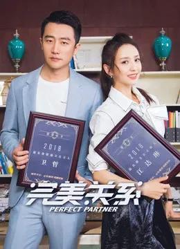 完美关系 DVD版