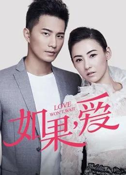 如果，爱 DVD版