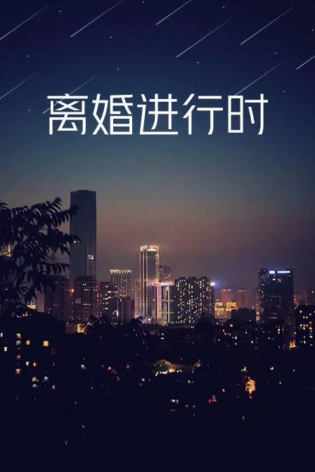 离婚进行时