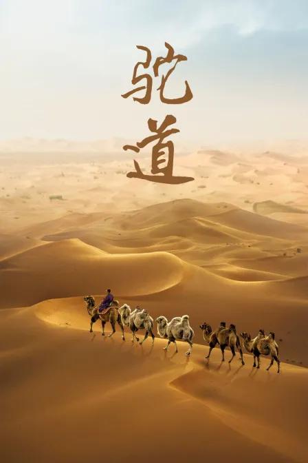 驼道