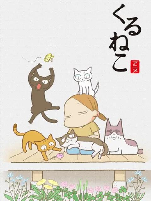 佝偻猫第二季