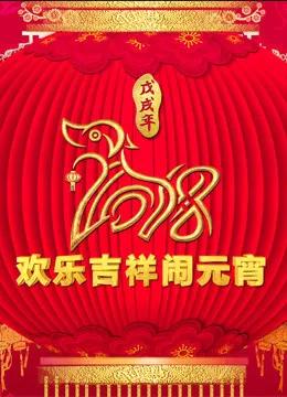 2018央视元宵