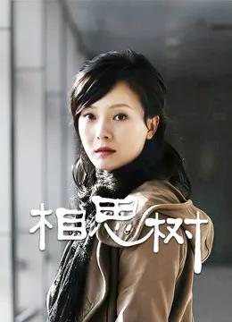相思树