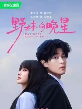 野林向晚星