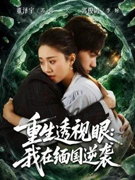 重生透视眼：我在缅国逆袭