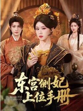 东宫侧妃上位手册