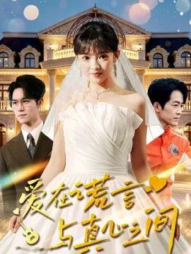 爱在谎言与真心之间