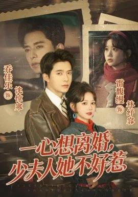 一心想离婚，少夫人她不好惹
