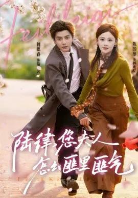 陆律，您夫人怎么匪里匪气