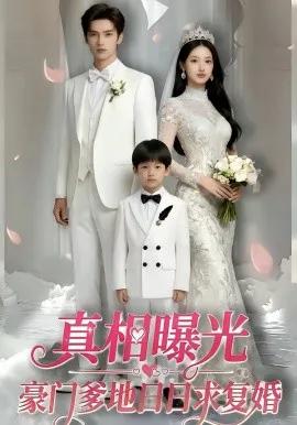 真相曝光，豪门爹地日日求复婚