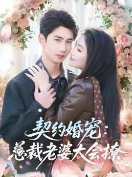 契约婚宠:总裁老婆太会撩