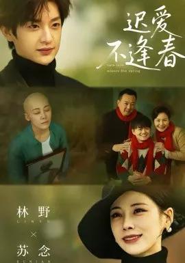 迟爱不逢春