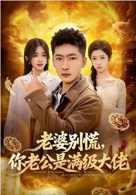 老婆别慌,你老公是满级大佬