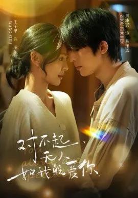 对不起,无人如我般爱你