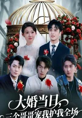 大婚当日，三个哥哥宠我护我全场