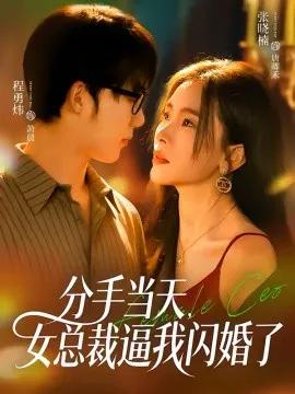 分手当天，女总裁逼我闪婚了