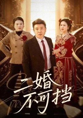 二婚不可挡