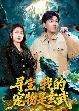 寻宝,我的宠物是玄武