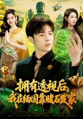拥有透视后，我在缅国靠赌石发家