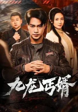九龙丐婿