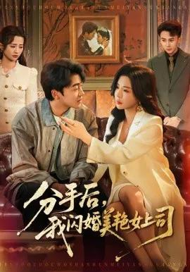 分手后,我闪婚美艳女上司