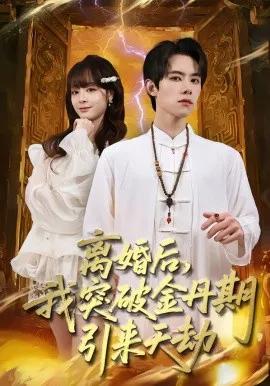 离婚后，我突破金丹期，引来天劫