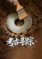 X档案·考古寻踪