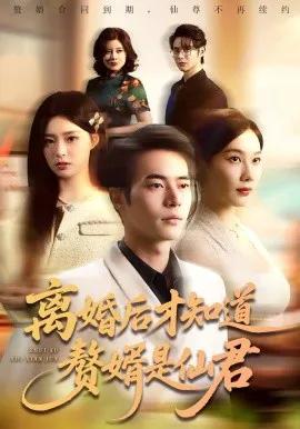 离婚后才知道赘婿是仙君