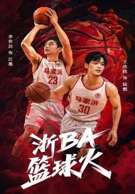 浙BA篮球火