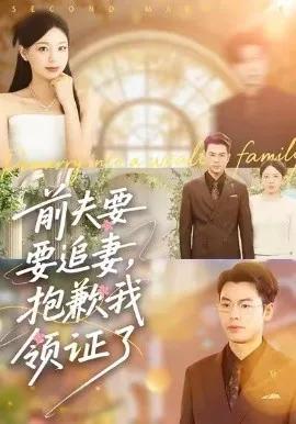 前夫要追妻,抱歉我领证了