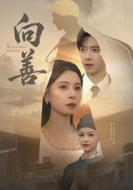 向善 苦果
